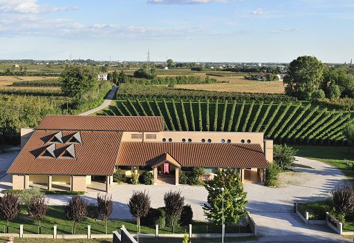 Vino, la Cantina trevigiana Cecchetto diventa Società Benefit