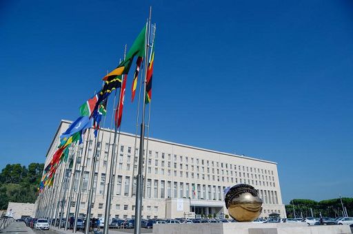 ONU, Italia sponsor mostra: Un pianeta migliore,un mondo migliore