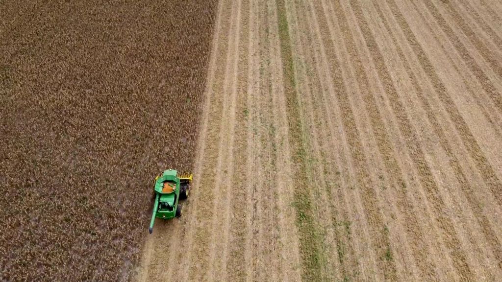 Oxfam: Paesi ricchi si sono accaparrati l’80% del grano ucraino