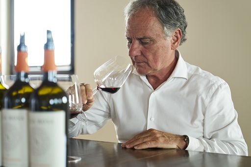 Vino, Cecchi ha 130 anni: dai vigneti in affitto ai 41 mln di fatturato