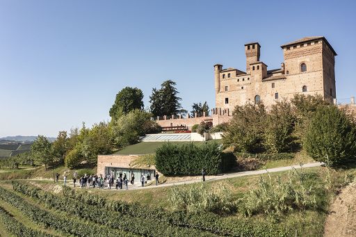 Vino, “Barolo en primeur”: aperta online l’asta per i lotti comunali