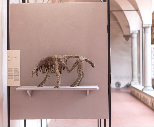 Arte e sostenibilità, al via il concorso “Second life”