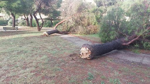 Maltempo, nubifragi e trombe d’aria nel Pisano e nel Livornese