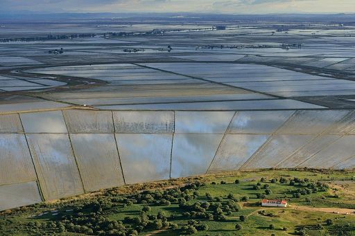 Fotografia, Barbara Dall’Angelo tra i vincitori premio Highly Commended