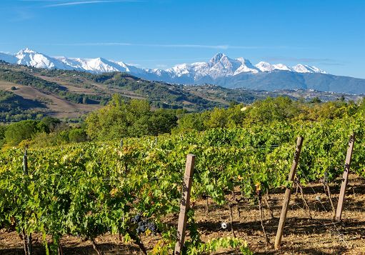 Consorzio vini Colline Teramane si unisce a Consorzio vini d’Abruzzo