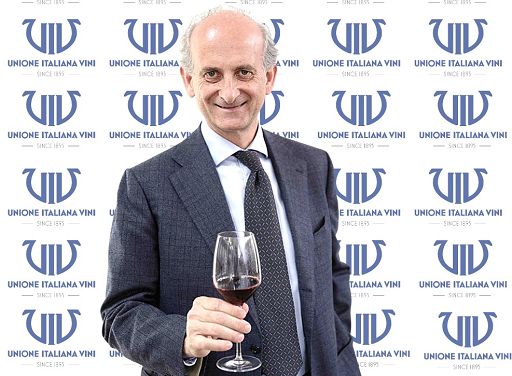 Uiv: vino unica bevanda alcolica fuori da vincoli su imballaggi
