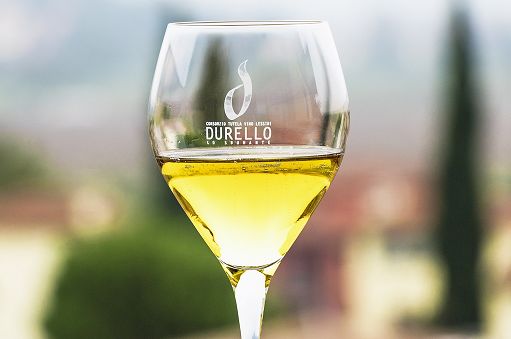 Vino, il 19 e 20 novembre torna “Durello and friends” a Verona