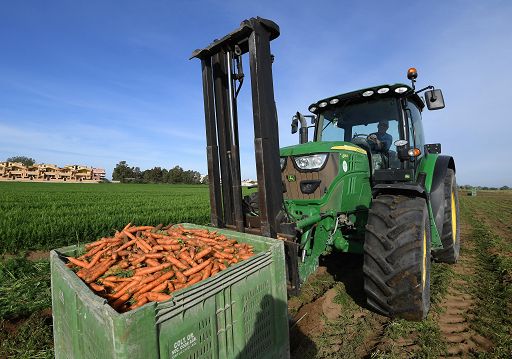 Commissione Ue approva aiuti italiani per 450 mln all’agricoltura