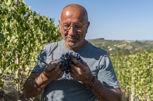 Esce nuovo Barolo Riserva di Giacomo Fenocchio: “90 Dì” sulle bucce