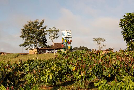 Ritter Sport: cacao sostenibile grazie a partnership in Africa e America