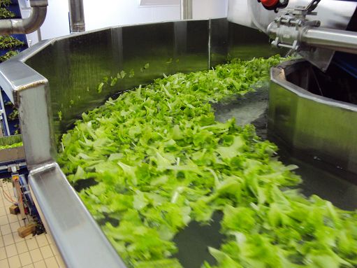 Imballaggi, Unionfood: c’è compromesso, fiduciosi su voto in Plenaria