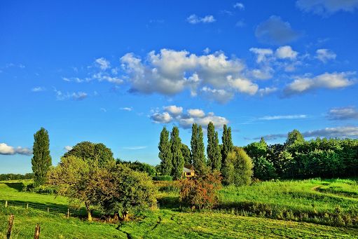 Al via da domani 10 novembre ad Arezzo Fiere il 21esimo Agrietour