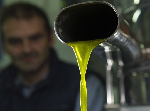 Olio d’oliva, Unaprol: controlli e norme chiare sui nuovi “condimenti”