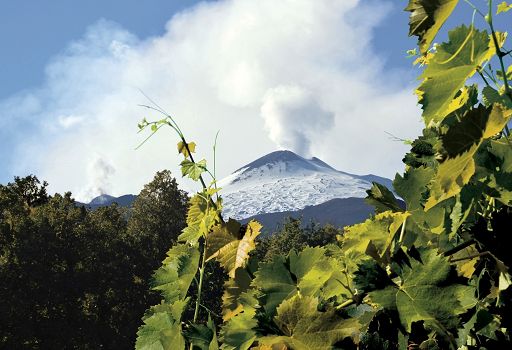 Ok del Consorzio Vini Etna Doc alla richiesta della Docg