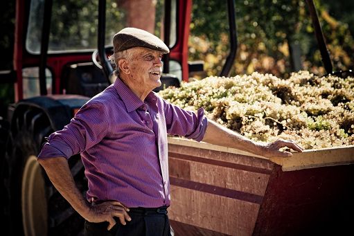 Vino, a Emidio Pepe il “Premio Leonildo Pieropan” della Fivi