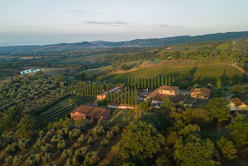 Vino, Terenzi fa incetta di premi e si prepara a festeggiare 20 anni