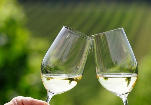 Federvini-Alleanza Coop: nasce Fondazione Vino Patrimonio Comune