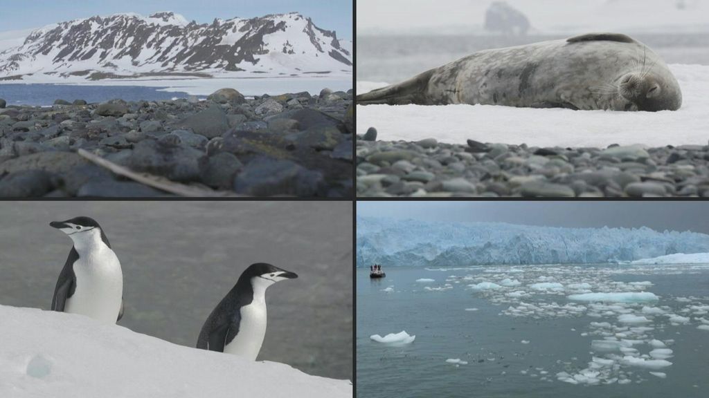 Nuovo record per lo scioglimento dei ghiacci dell’Antartide