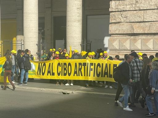 Quasi rissa Prandini-Magi-Della Vedova davanti Palazzo Chigi