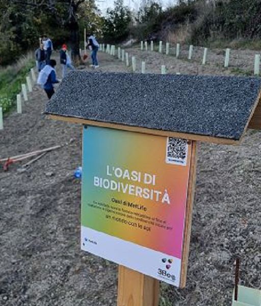 Giornata degli Alberi, MetLife crea due boschi nettarifiri con 3Bee