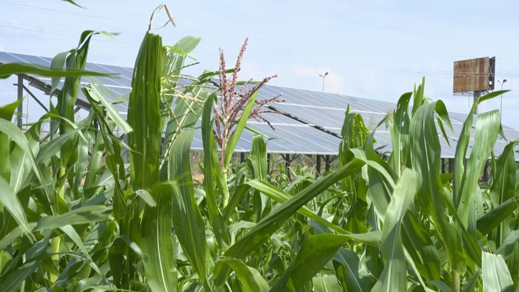 Clima, Martina (Fao): emergenza agricoltura, serve nuova strategia