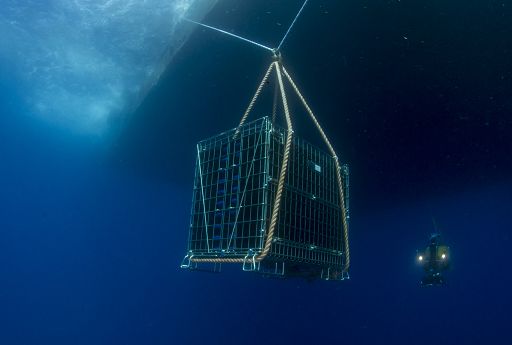 Vino, Jamin Portofino: cantinamento subacqueo cresce e parla italiano