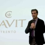 Gruppo Cavit chiude bilancio 2022-2023 con ricavi a 267,1 mln (+0,9%)