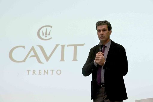 Gruppo Cavit chiude bilancio 2022-2023 con ricavi a 267,1 mln (+0,9%)