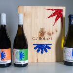 Consorzio vini Doc Friuli Aquileia promuove “Raggi di vite”