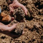 Il 5 dicembre Giornata del suolo, Slow Food: senza terra non c’è vita