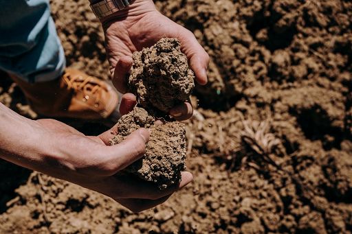 Il 5 dicembre Giornata del suolo, Slow Food: senza terra non c’è vita