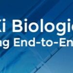 Cina, WuXi Biologics perde un altro 11% dopo crollo di ieri