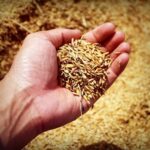 Accordo Unicredit-Confagri Mantova per sostenere agricoltori