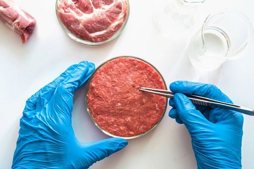 Carne coltivata, Slow food: no battaglia ideologica, ripensare allevamenti