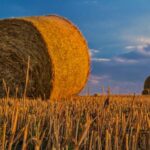 In Piemonte aperto bando regionale per formazione agricoltori