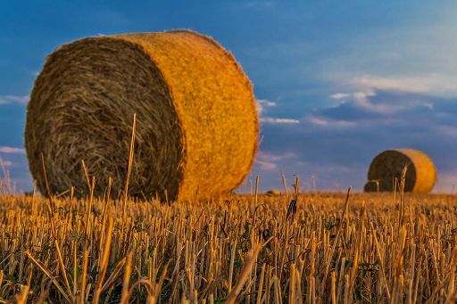 In Piemonte aperto bando regionale per formazione agricoltori