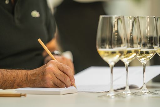 Nelle guide enologiche 2023 i vini altoatesini al top per 419 volte