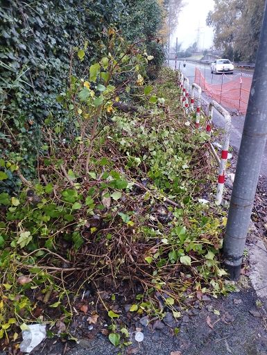 Roma, pulizia di verde e rifiuti: 200 milioni di fondi