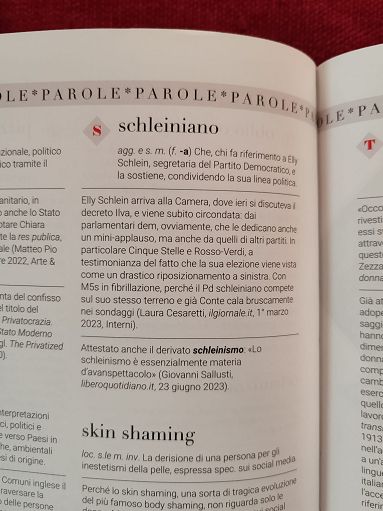 Da underdog a armocromia,Treccani consacra neologismi politici 2023