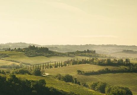 Vino, un italiano nella “Top 10 Values of 2023” di Wine Spectator