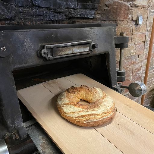 Il grano duro Senatore Cappelli protagonista nelle panetterie di Eataly