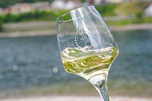 Vino, Consorzio Doc delle Venezie: nel 2023 +2% di imbottigliamenti