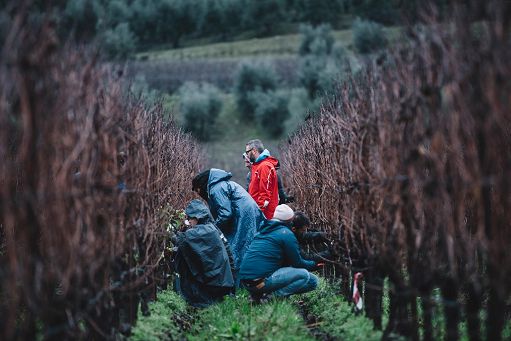 Vino, il 15 e 16 marzo il “Festival del potatore” di Simonit e Sirch