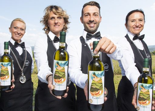 Vino, nel 2024 il Gavi festeggia 50 anni dal riconoscimento della Doc