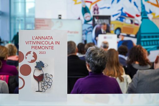 Vendemmia 2023 in Piemonte -14% ma cresce giro d’affari: 1.362 mln