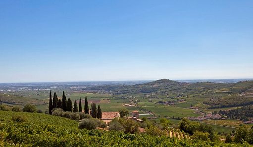 In Valpolicella 13 Cantine danno vita ai “Vignaioli Valle di Mezzane”