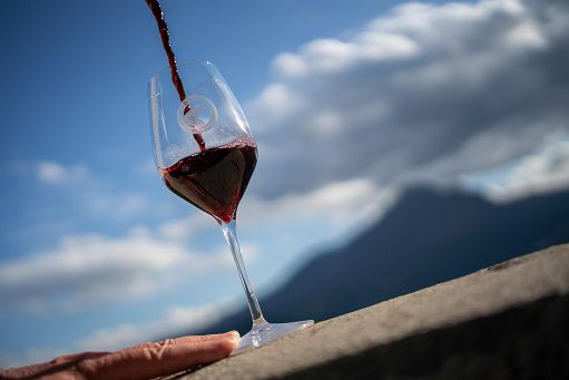 Consorzio vini d’Abruzzo a Wine Paris con 24 aziende e un nuovo stand