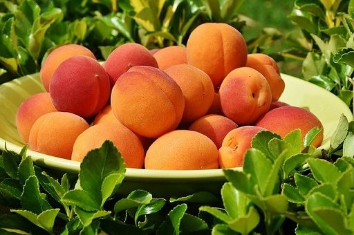 Lollobrigida: “frutta e verdura a scuola”,spazio a prodotti locali