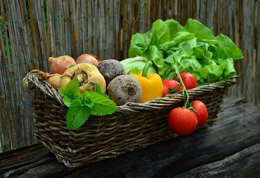 Protesta agricoltori, Confagri Veneto riunita in assemblea il 15