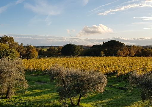 Umbria Top Wines fa ritorno a Vinexpo Paris con sette Cantine